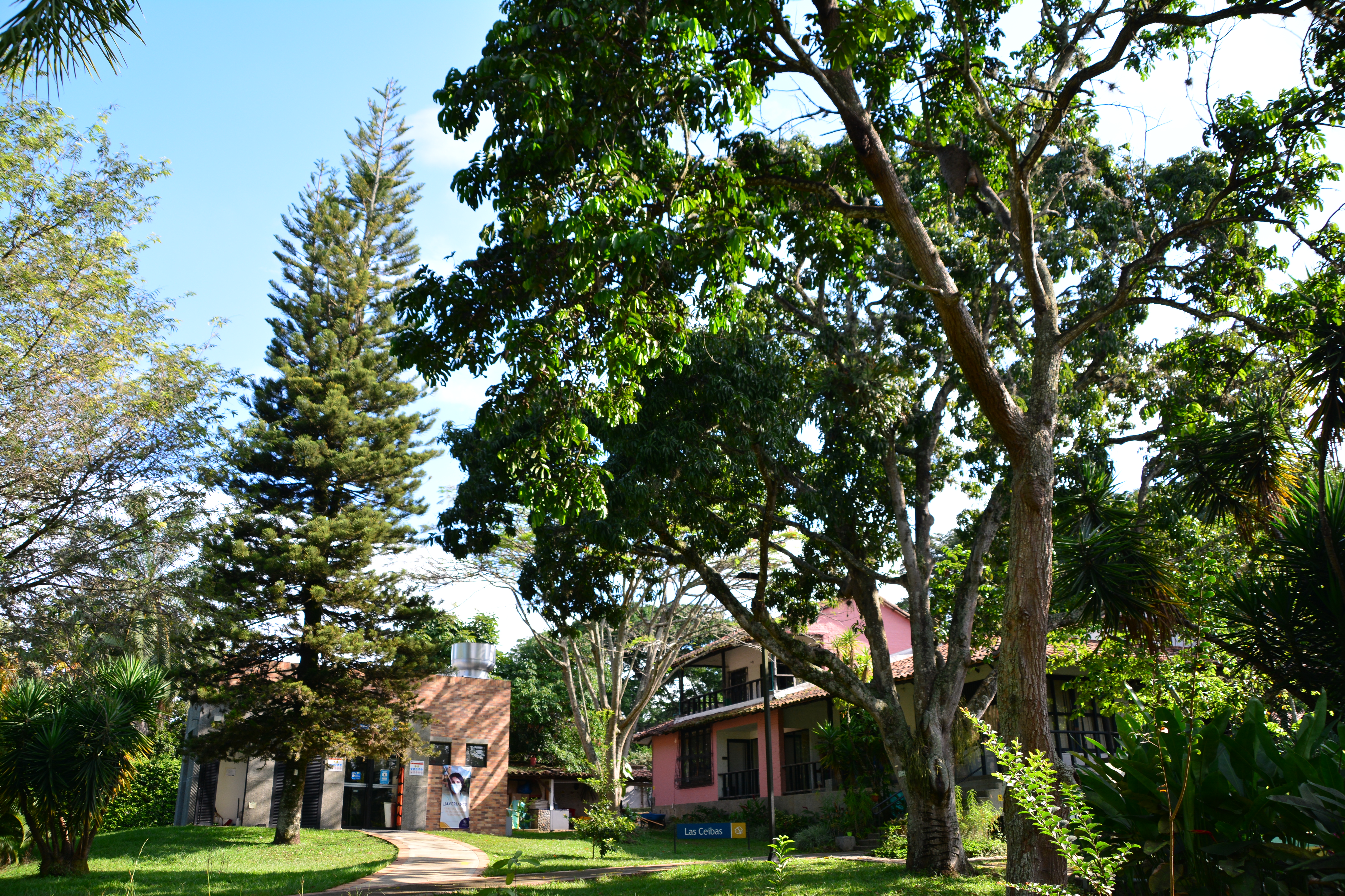 imagen-campus-javeriana-edificio-ceibas