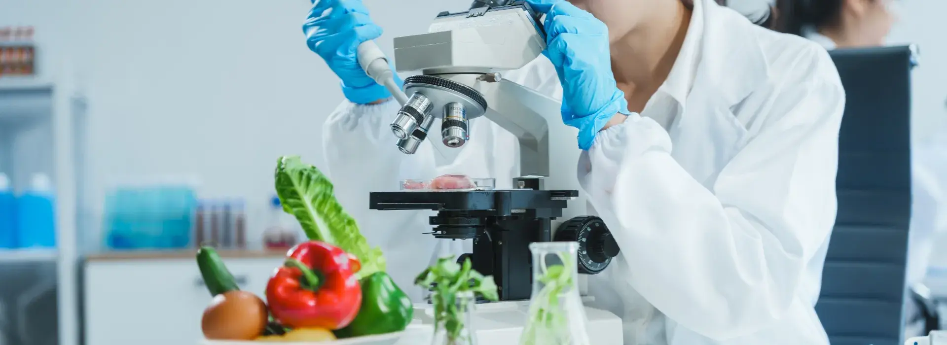 Diplomado en Nutrición e innovación para el desarrollo de alimentos