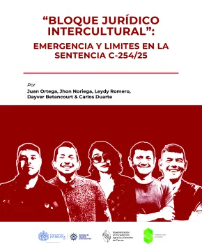 EMERGENCIA Y LIMITES EN LA SENTENCIA C-254/25